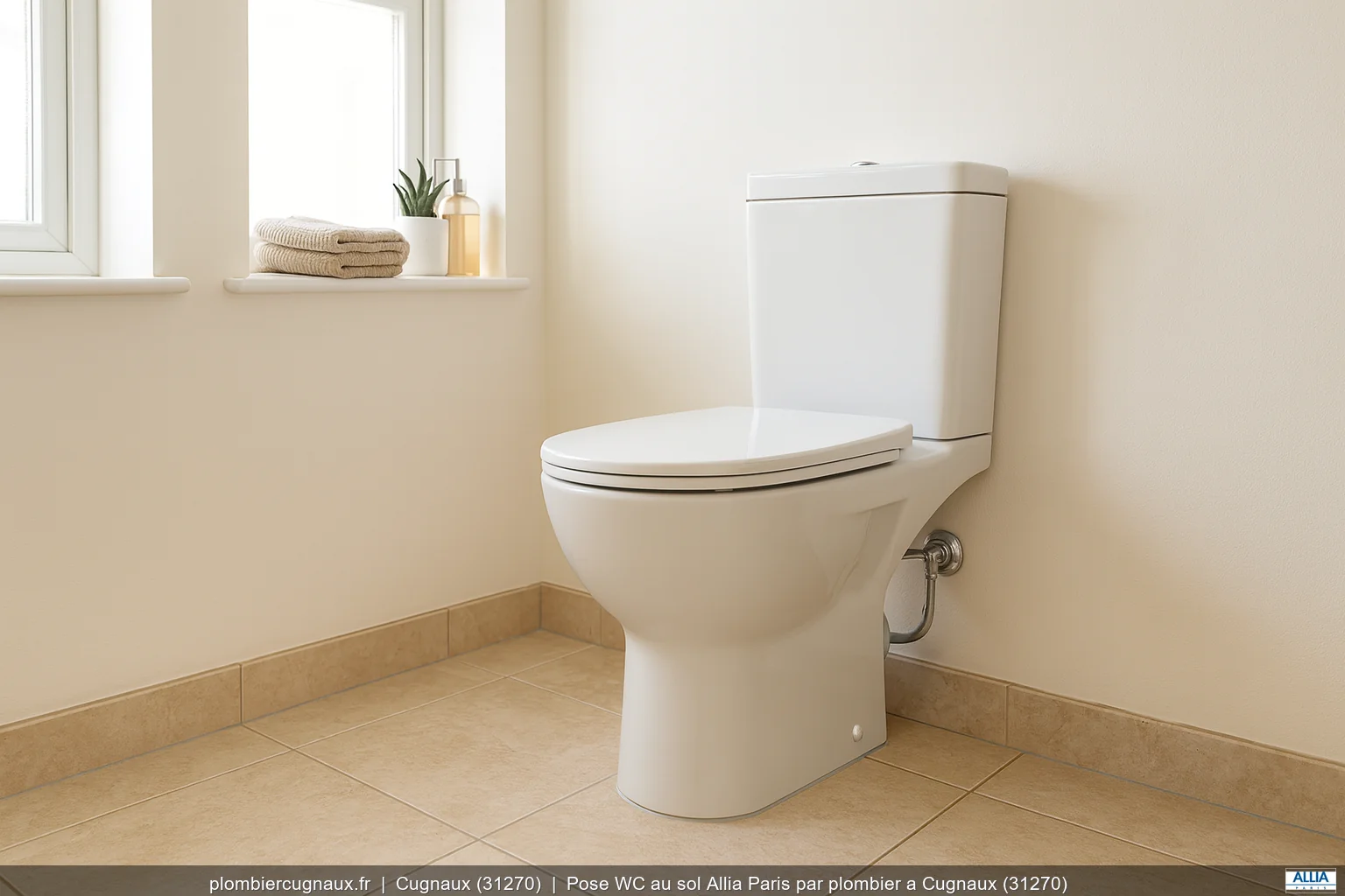 Pose WC au sol Allia Paris par plombier a Cugnaux (31270)